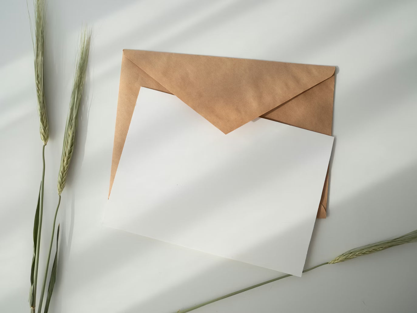 Olvara Gift Card